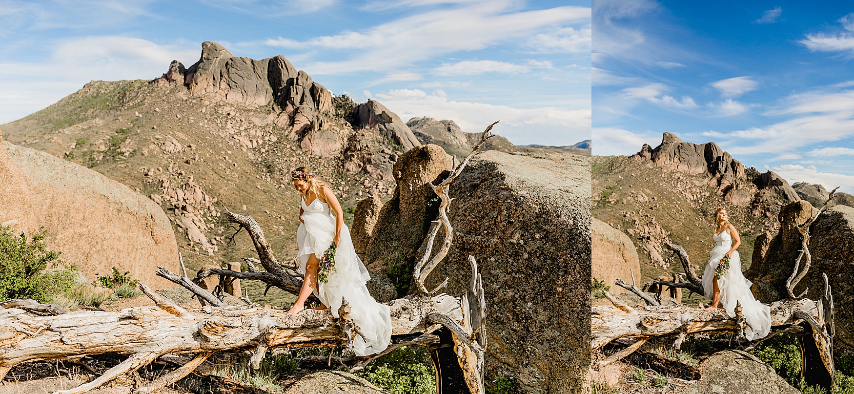 bride sitting on driftwood for Colorado elopement