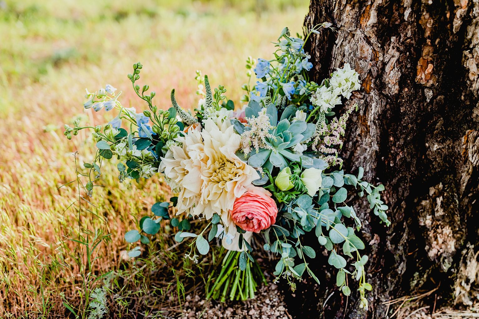 beautiful bouquet against a tree from boulder blooms in colorado